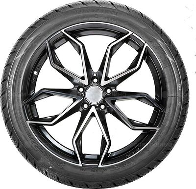 Windforce Catchfors A/S 215/45 R17 91W XL