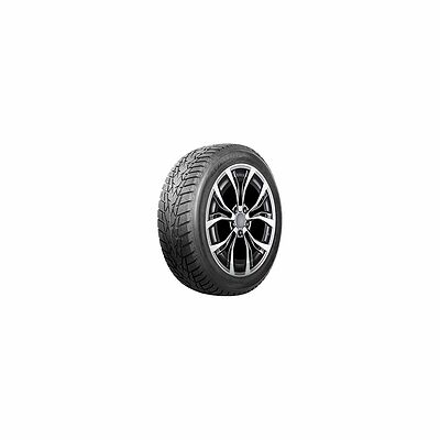 Autogreen Ice Cruiser AW01 205/65 R16 95T