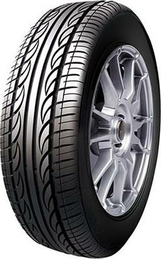 Doublestar DS968 225/55 R16 99V 