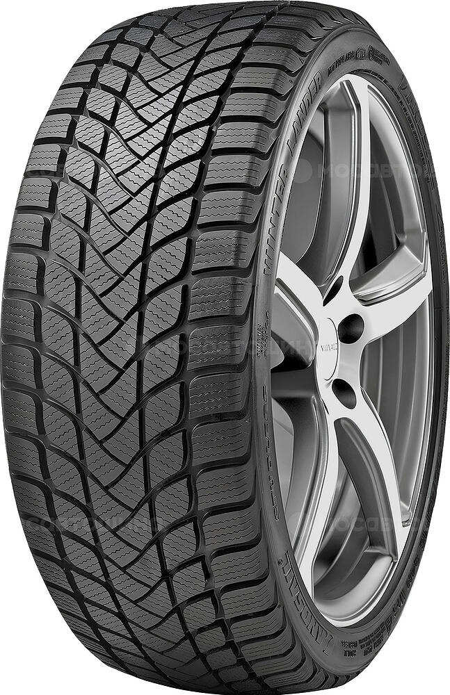 Landsail Winter Lander 205/55 R16 99H