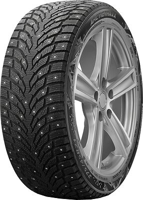 Landspider Arctictraxx 205/65 R16 99T