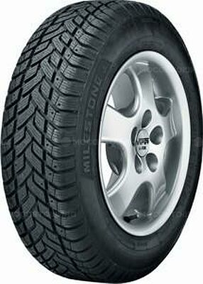 Marangoni Milestone 185 R14