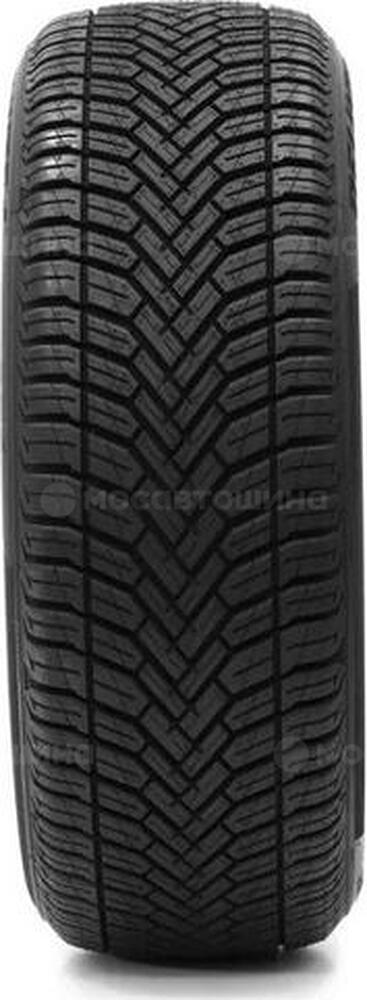 Protektor Delinte AW6 175/65 R14 82T