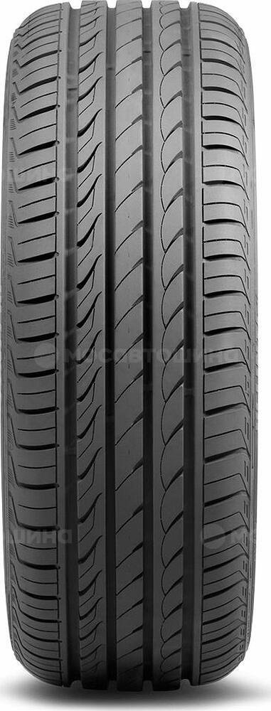 Protektor Delinte DH2 155/65 R14 75T