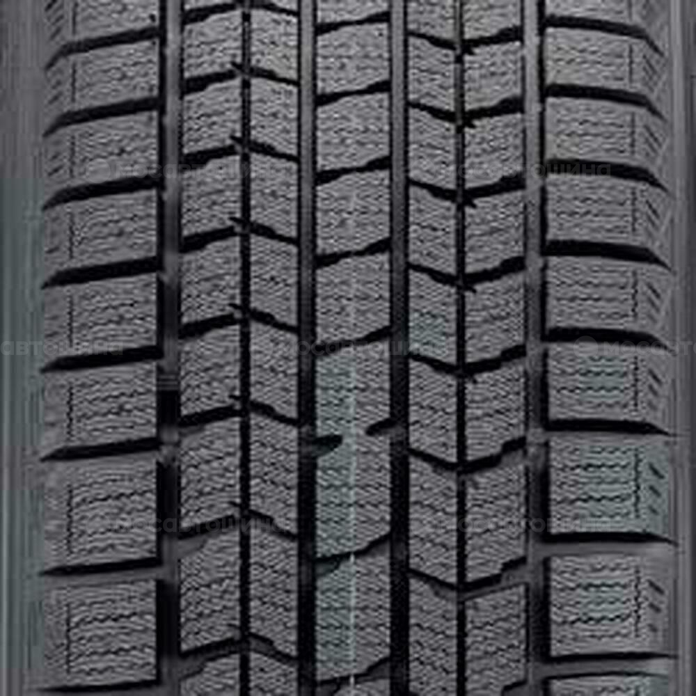 Protektor Dunlop Graspic DS3 195/55 R15 H 