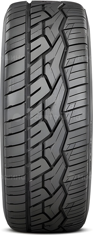 Protektor Nitto NT420V 295/30 R22 103V 