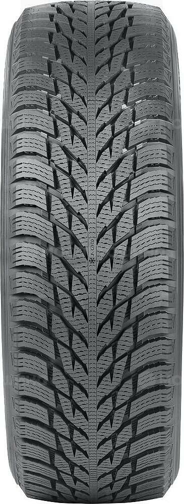 Protektor Nokian Hakkapeliitta R3 195/60 R16 89R 