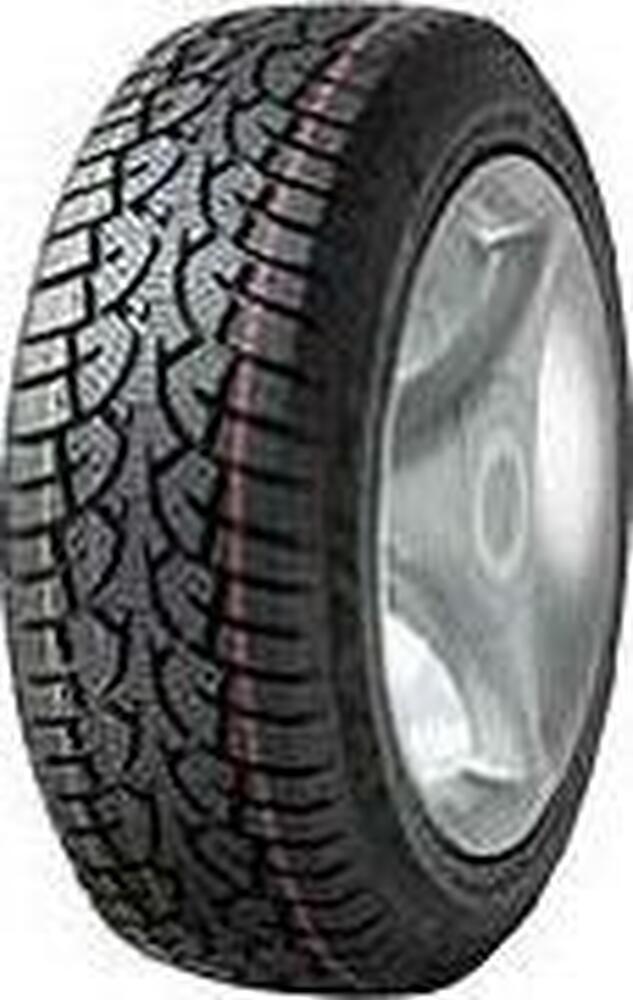 Wanli Snowgrip 225/75 R16C 121/120R