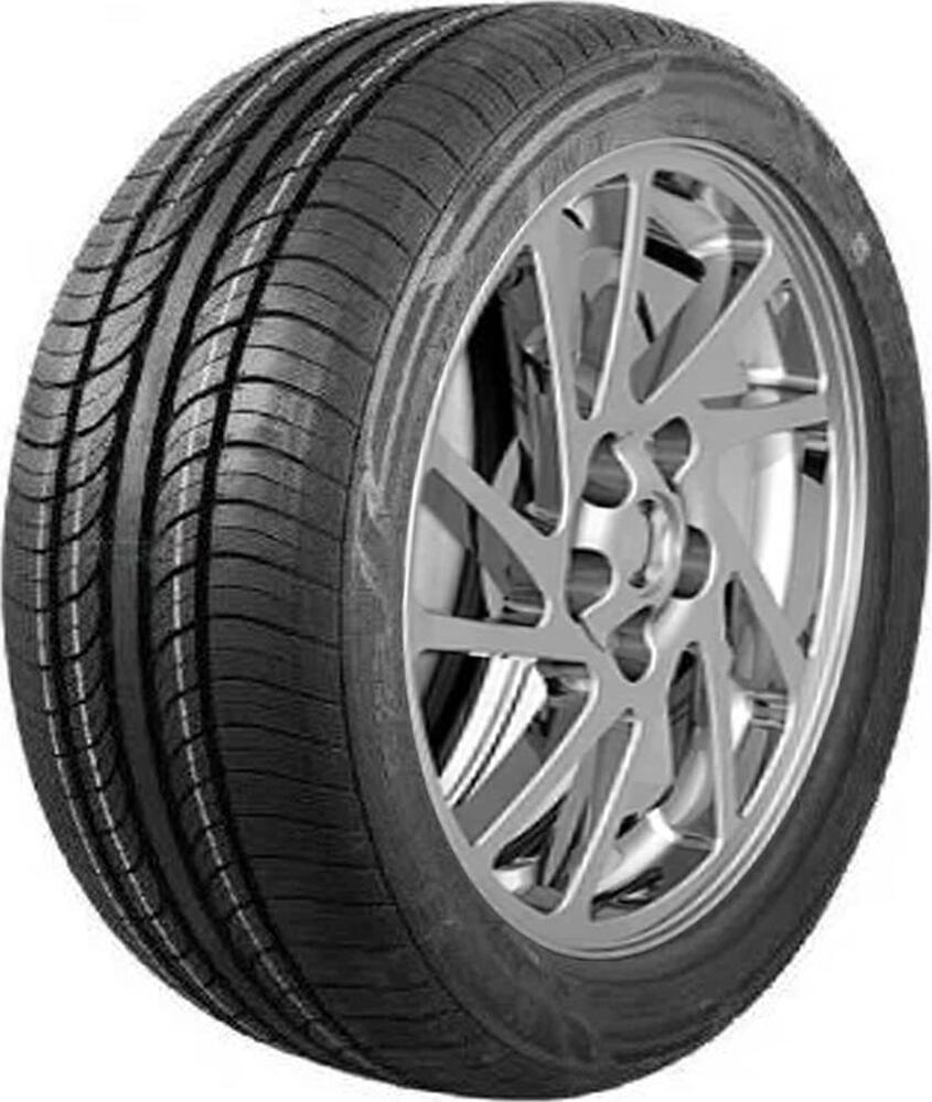 Warrior R35 205/50 R17 93W
