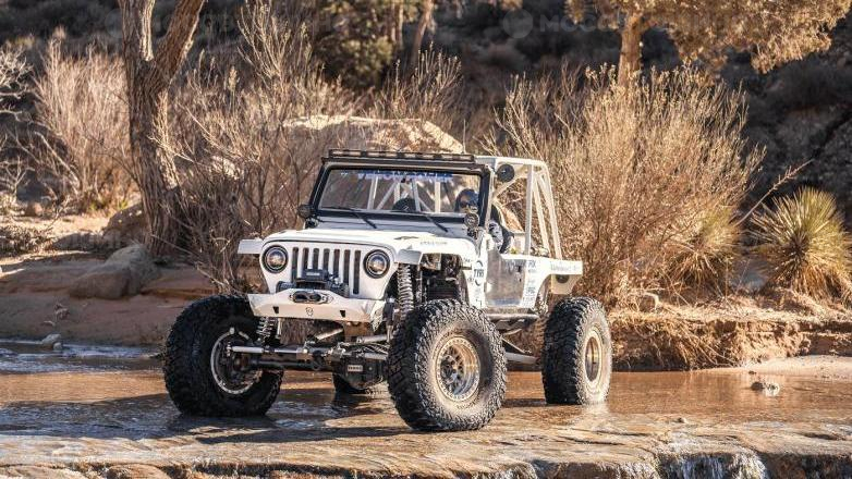 Автомобильные шины Venom Power Swampthing M/T 40X13.50R17L [2825]
