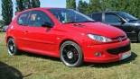 Felgen Momo Corse am Fahrzeug Peugeot 206 Felgen Momo Corse am Fahrzeug Peugeot 206
