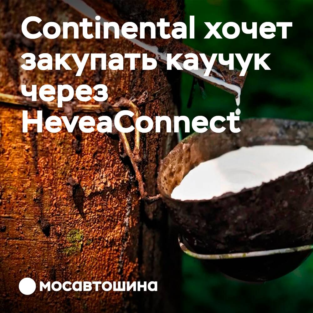 Continental plant den Kauf von Kautschuk über HeveaConnect