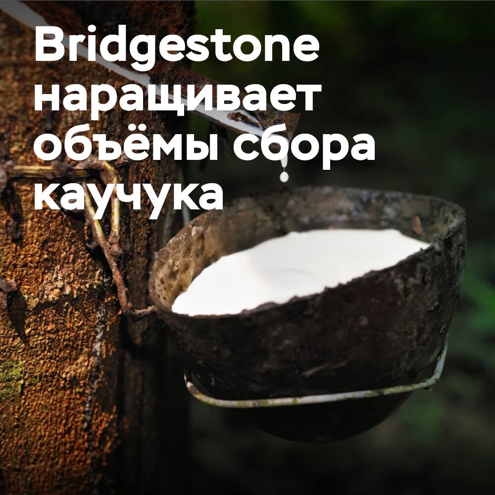 Bridgestone investiert in die Erhöhung der Kautschuk-Sammelvolumina