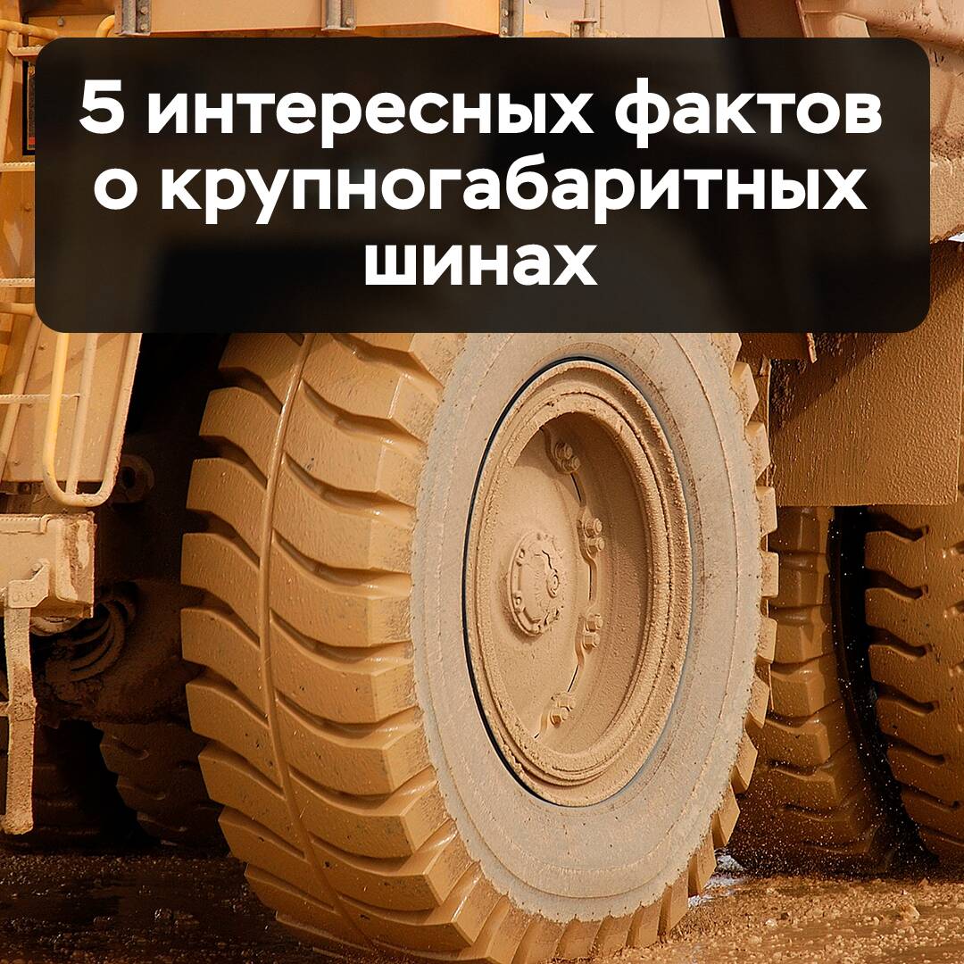 5 interessante Fakten über Großraumreifen