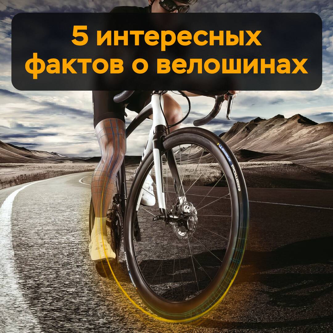 5 interessante Fakten über Fahrradreifen