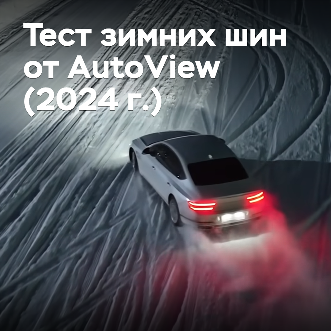 Test von Winterreifen von AutoView (2024)