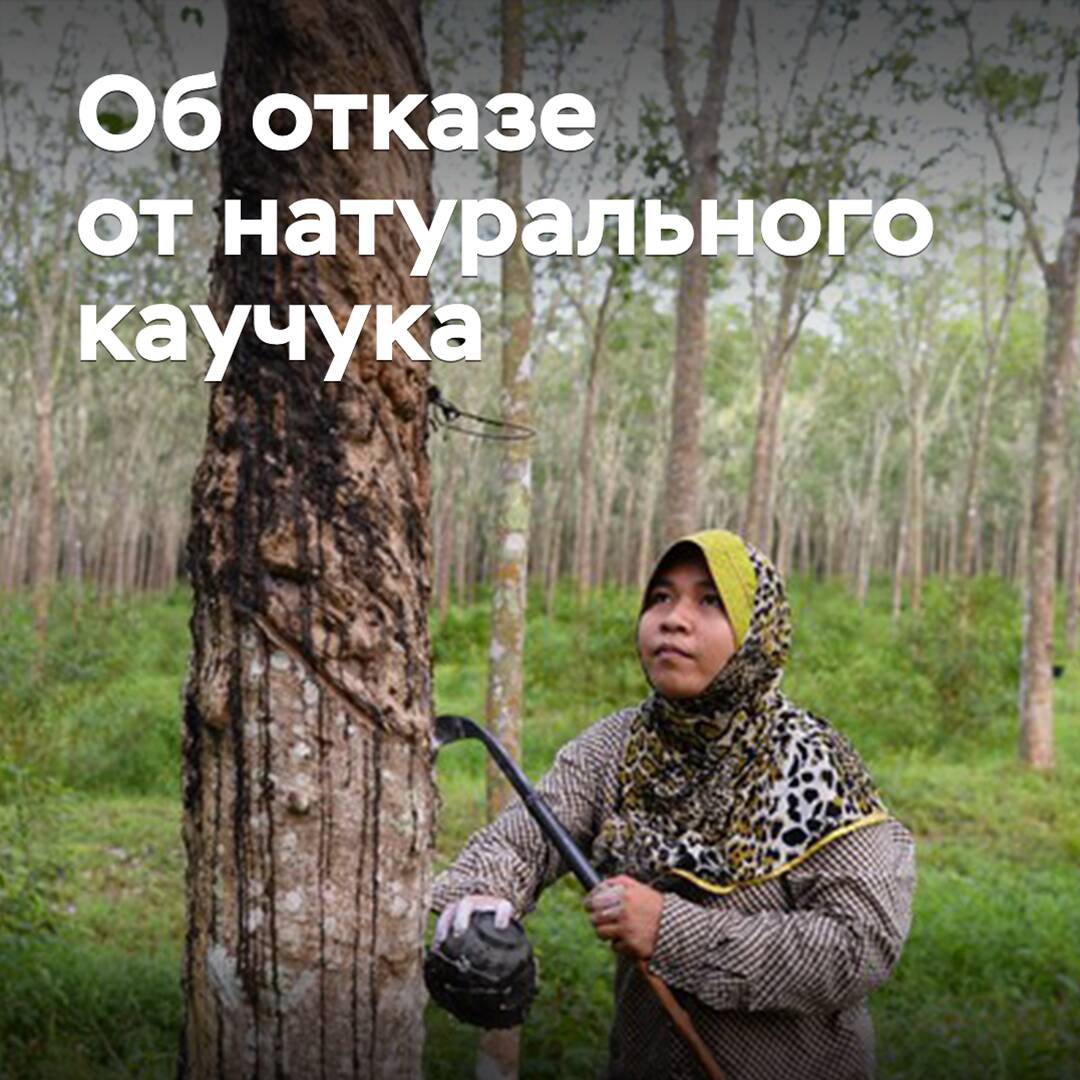 SIBUR: Die russische Reifenindustrie kann auf Naturkautschuk verzichten