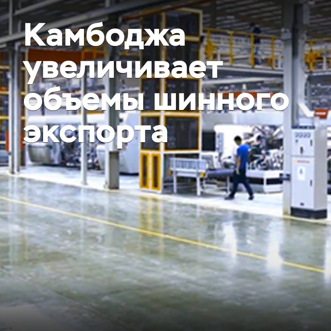 Kambodscha erhöht die Volumina des Reifenexports
