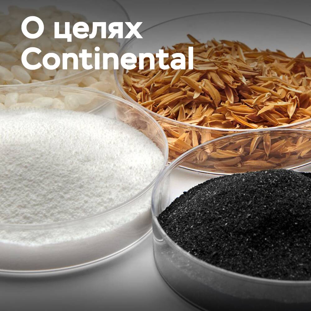 Continental und nachwachsende Rohstoffe