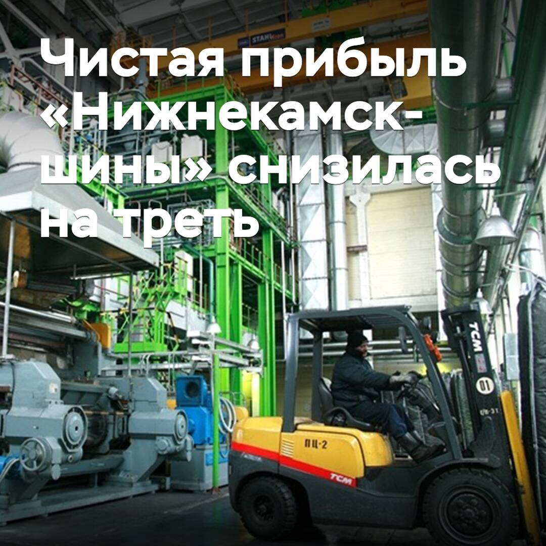 Das reinigte Ergebnis von "Nischnekamsk-Schiny" ist um ein Drittel gesunken